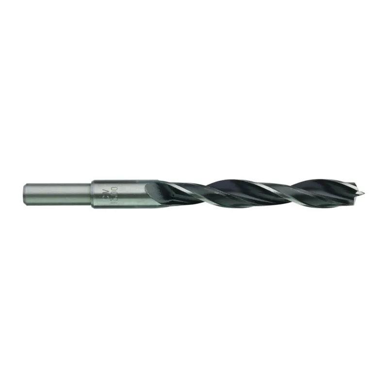 Speciální Cena Vrták do dřeva s centrovacím trnem a řeznou hranou 13x151x96mm